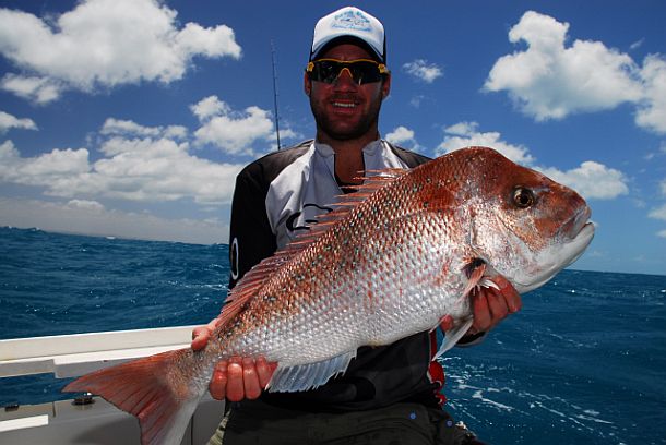 Opening of snapper season exposes flaws in fishery management